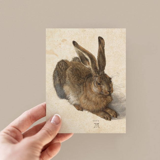Young Hare | Albrecht Dürer Postinvitations