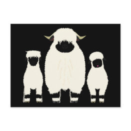 Small 3 Valais Blacknose Sheep In A Row Postinvitations Front View