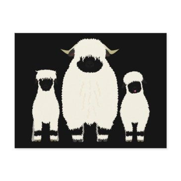 3 valais blacknose sheep in a row postinvitations
