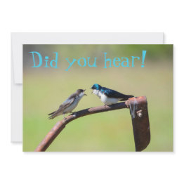Small A Little Birdie Told Me - Customizable Invitation Front View