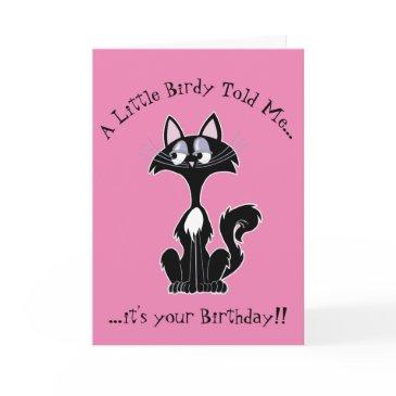 a little birdy told me funny cartoon cat birthday invitations