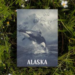 Small Alaska Mountains Killer Whale Orca Postinvitations Front View