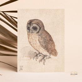 Small Albrecht Durer The Little Owl Art Postinvitations Front View