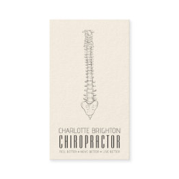 Small Anatomical Spine Chiropractor Appointment And Business Invitations Front View