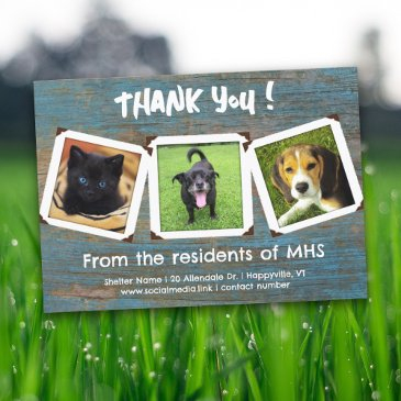 animal shelter thank you photo templates invitations