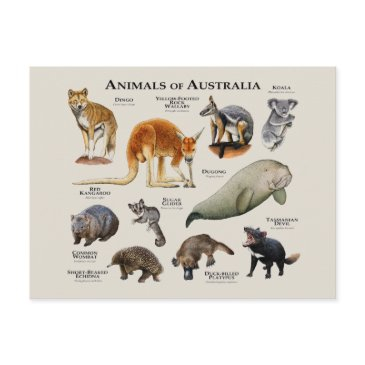animals of australia postinvitations