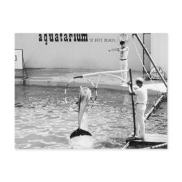 Small Aquatarium St. Pete Beach Florida, Dolphin Postinvitations Front View