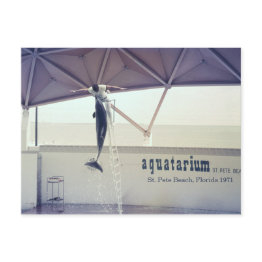 Small Aquatarium St. Pete Beach Florida Postinvitations Front View