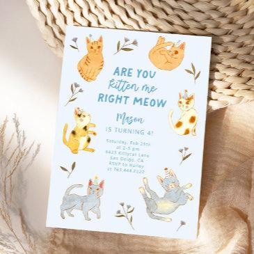 are you kitten me cat boy birthday invitation