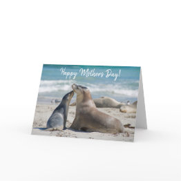 Small Australian Sea Lion And Cute Baby, Mother's Day Invitations Front View
