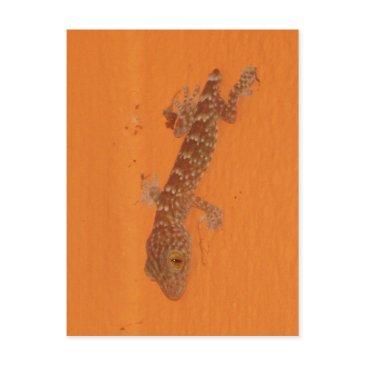 baby tokay gecko postinvitations
