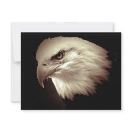 Small Bald American Eagle Eye Invites Front View