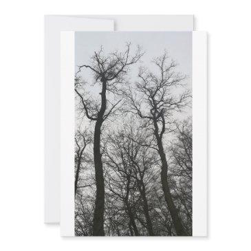 bare trees cloudy invitation