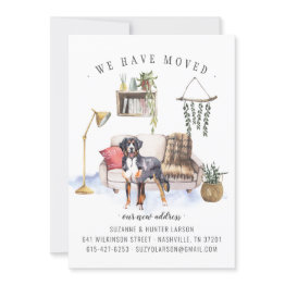 Small Bernese Mountain Dog | Moving Announcement Front View