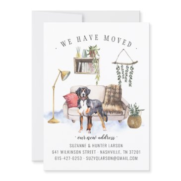 bernese mountain dog | moving announcement