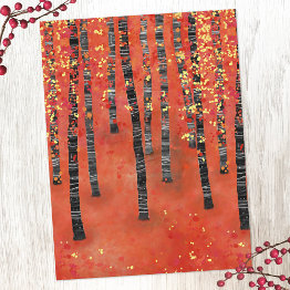 Small Birch Tree Forest Landscape Postinvitations Front View