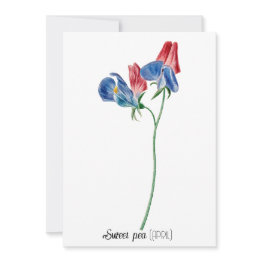 Small Birth Date Flower Sweet Pea (april) Note Invitations Front View