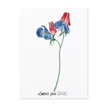 birth date flower sweet pea (april) postinvitations