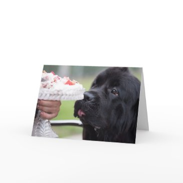 birthday cake and dog invitations