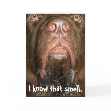birthday invitations ~ newfoundland dog