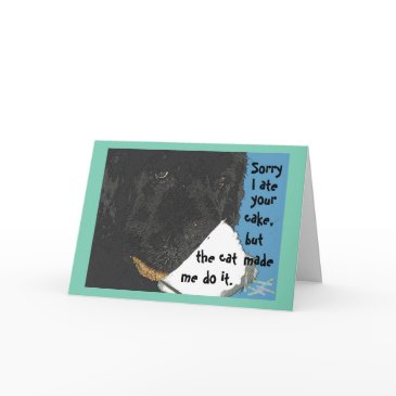 birthday invitations~ newfoundland dog humor invitations