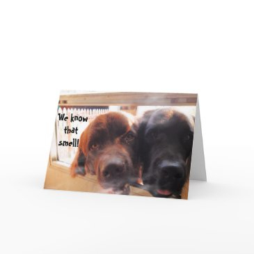 birthday greeting ~ dog humor invitations