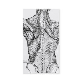 Small Black And White Anatomy Art Back Muscles (1890) Business Invitations Front View