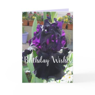 black iris flower floral photo love birthday invitations