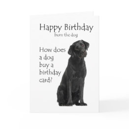 Small Black Lab Birthday Invitations Front View