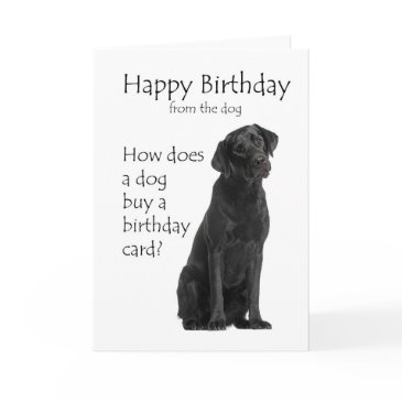black lab birthday invitations