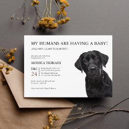 Small Black Labrador Retriever Baby Shower Minimalist Invitation Front View