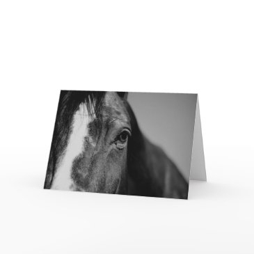 black & white close-up horse eye artwork invitations