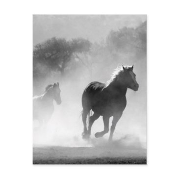black white running horses freedom postinvitations
