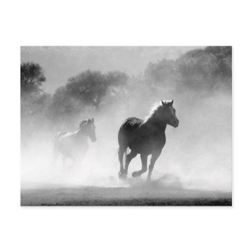black white running horses freedom postinvitations