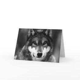 Small Black & White Wolf Invitations Front View