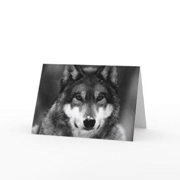 black & white wolf invitations