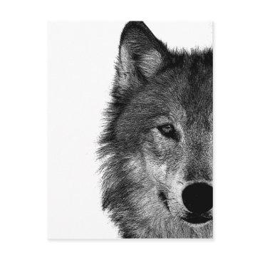 black & white wolf eye artwork postinvitations