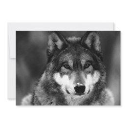 Small Black & White Wolf Invitation Front View