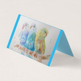 Small Blue Budgie Bird Budgerigar Budgies Greetings Invitations Front View