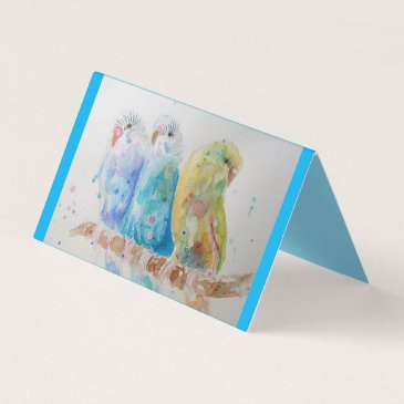 blue budgie bird budgerigar budgies greetings invitations