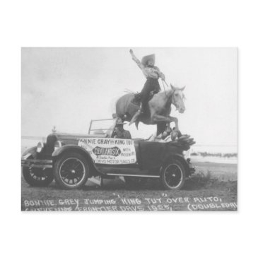 bonnie gray jumping her horse. postinvitations