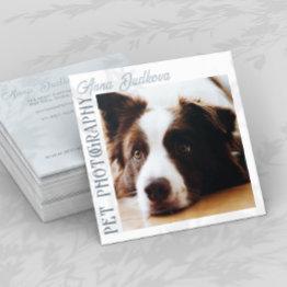 Small Border Collie Pet Photography Square Business Invitations Front View
