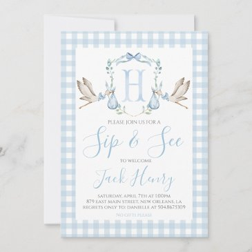 boy stork preppy gingham blue sip & see invitation
