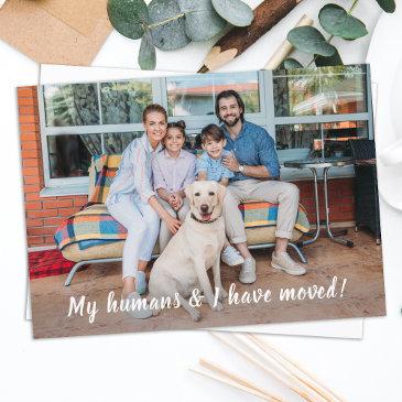 budget we have moved pet moving announcement invitations