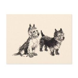 Small Cairn Terriers Vintage Pen & Ink Postinvitations Front View