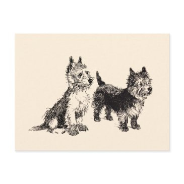 cairn terriers vintage pen & ink postinvitations