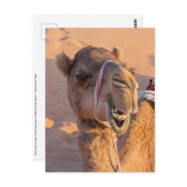 camel with a funny facial expression - oman postinvitations