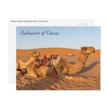camels in oman desert postinvitations