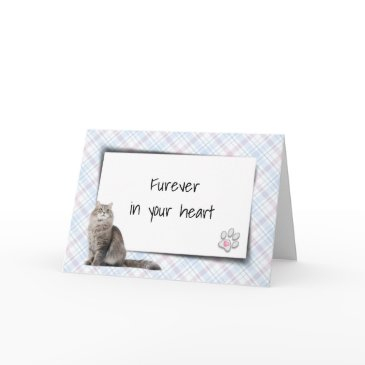 cat on plaid pet loss sympathy invitations