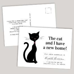 Small Cat We've Moved New Address Announcement Postinvitations Front View